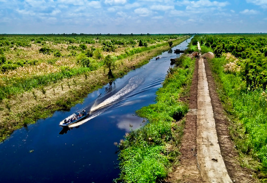 Vườn[-]Quốc[-]gia[-]U[-]Minh[-]Thượng:[-]Khu[-]Ramsar[-]thứ[-]8[-]của[-]Việt[-]Nam